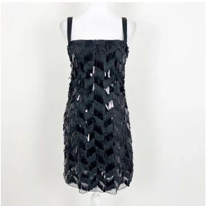 Zara sequin fringe dress